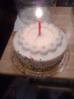 IMG_1100.jpeg