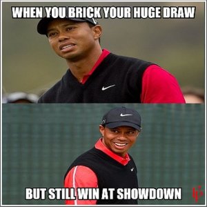 tigerwoods-pokermeme.jpg