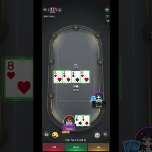PCF Daily Grind NLHE Home Game | BawseGrind1 vs Katchagirl | StockPoker – Aug. 31, 2026